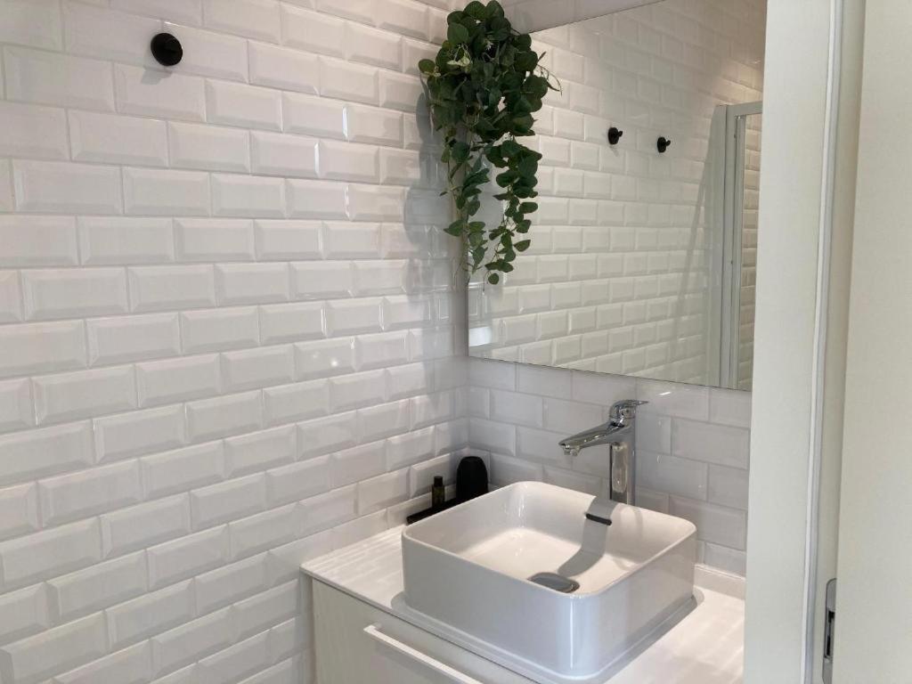 Borgerhouse B&B Anversa Esterno foto